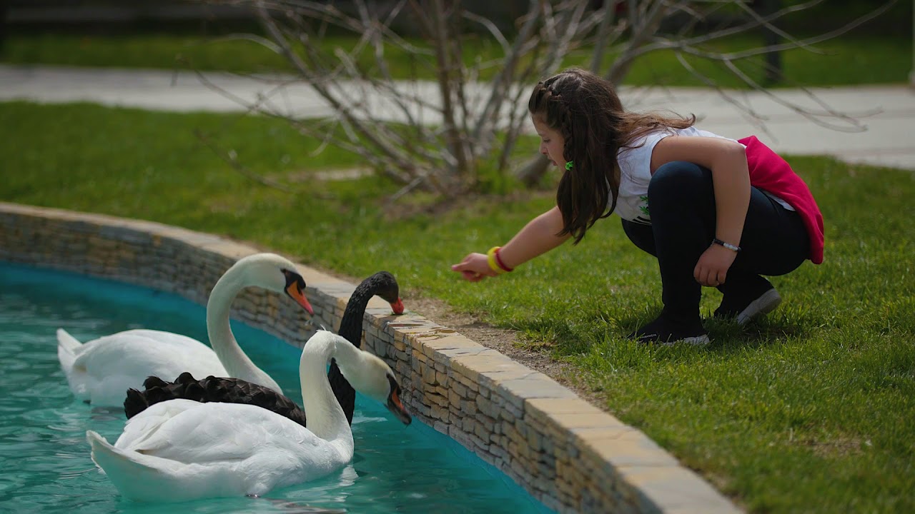 Благоустрояване Самоков и селата