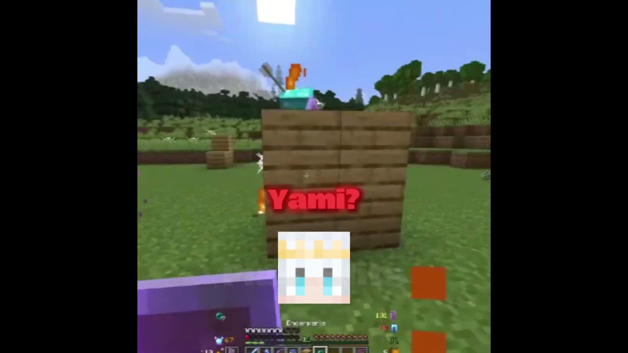 Mission Kill RyanXCole in a Fight || Minecraft Helden 2 || 