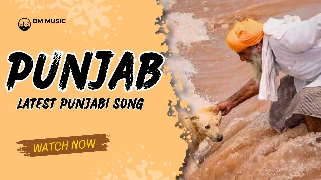 PUNJAB (Official Audio)| Save Punjab || Flood Situation || New Punjabi Song #music #punjabi 