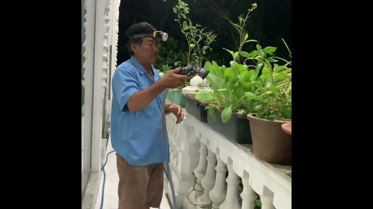 Thôn Quê, Cuộc Sống Sau Tết