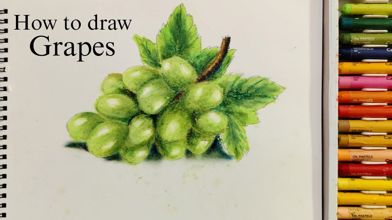 How to draw grapes | oil pastels| Fruits drawing| beginners