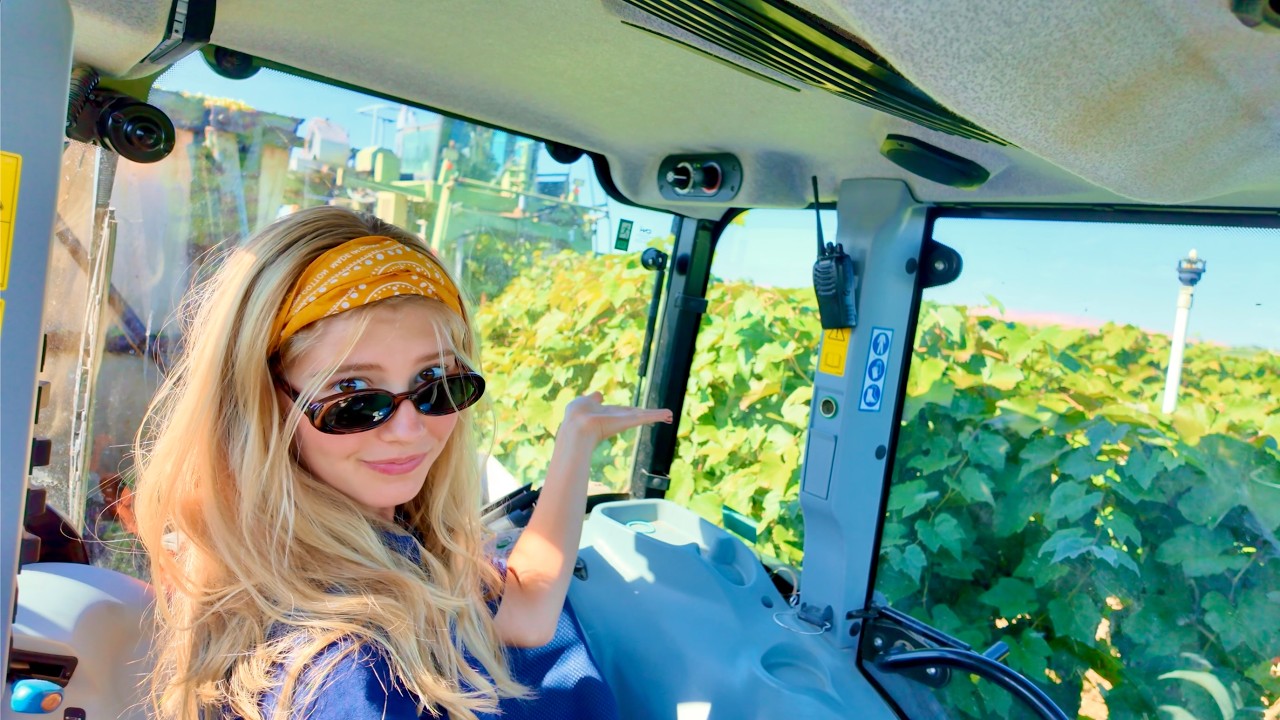 PICKING ‘EM GREEN FRUIT | Harvest 2025 