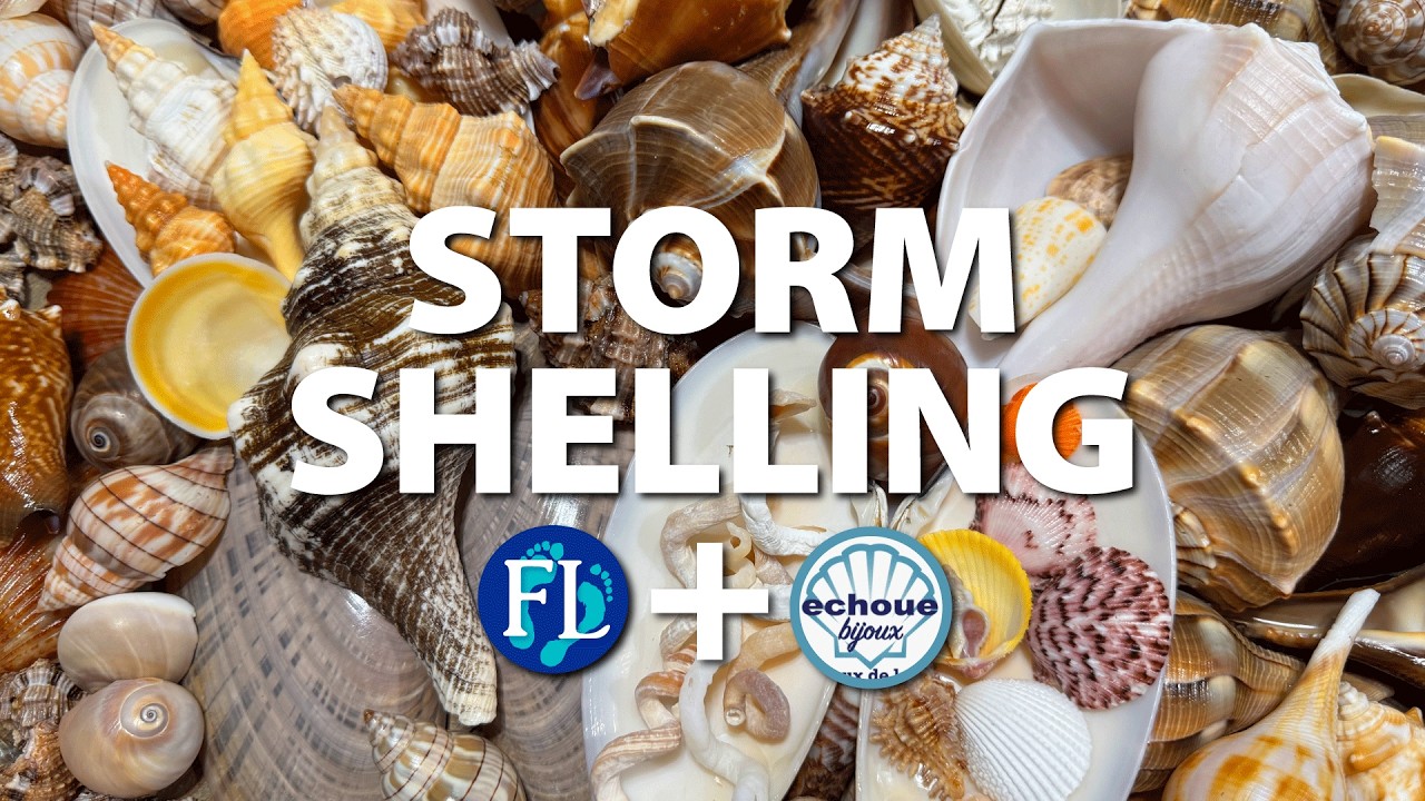 Storm #shelling 🐚 Pass-A-Grille 🌊