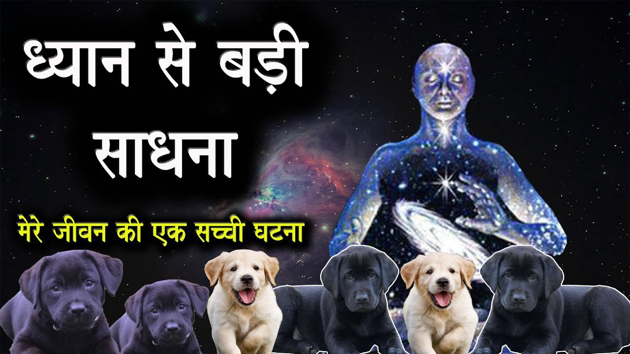 ध्यान से बड़ी साधना क्या है ? || प्रकृति के साथ तालमेल बनाकर कैसे जियें ?