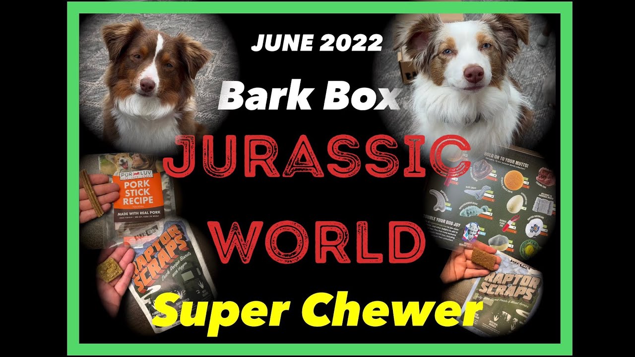 June Super Chewer Bark Box Unboxing and Review by My Puppies | Toy Aussies and a Mini Dashchund