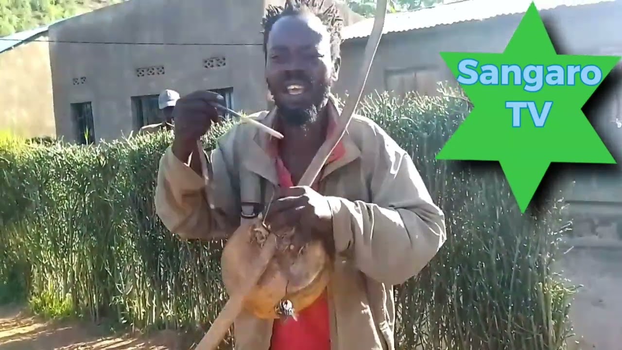 May 17, 2024 tubonye undi usimbuye igisupusupu mundirimbo ibicece   gatsibo kabarore 0782957037