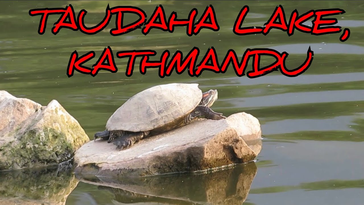 Taudaha lake, Kathmandu||historical lake||