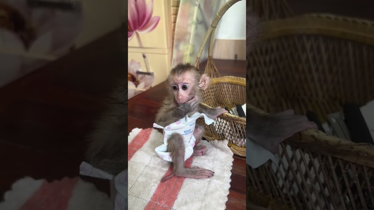 Mummy take care little boy in the morning 