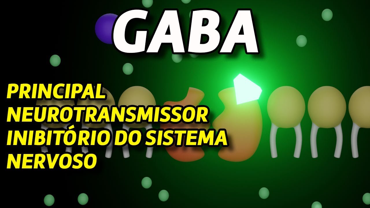 Ação do GABA e dos benzodiazepínicos - DIAZEPAM