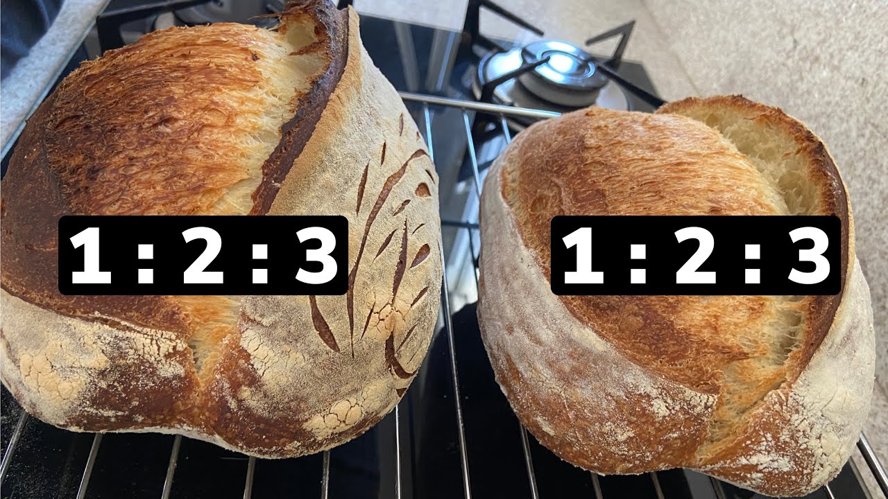 Etapa 4 de 4 - Diferença entre as alimentações 1:2:2 e 1:2:3 #fermentacaonatural #levain #sourdough