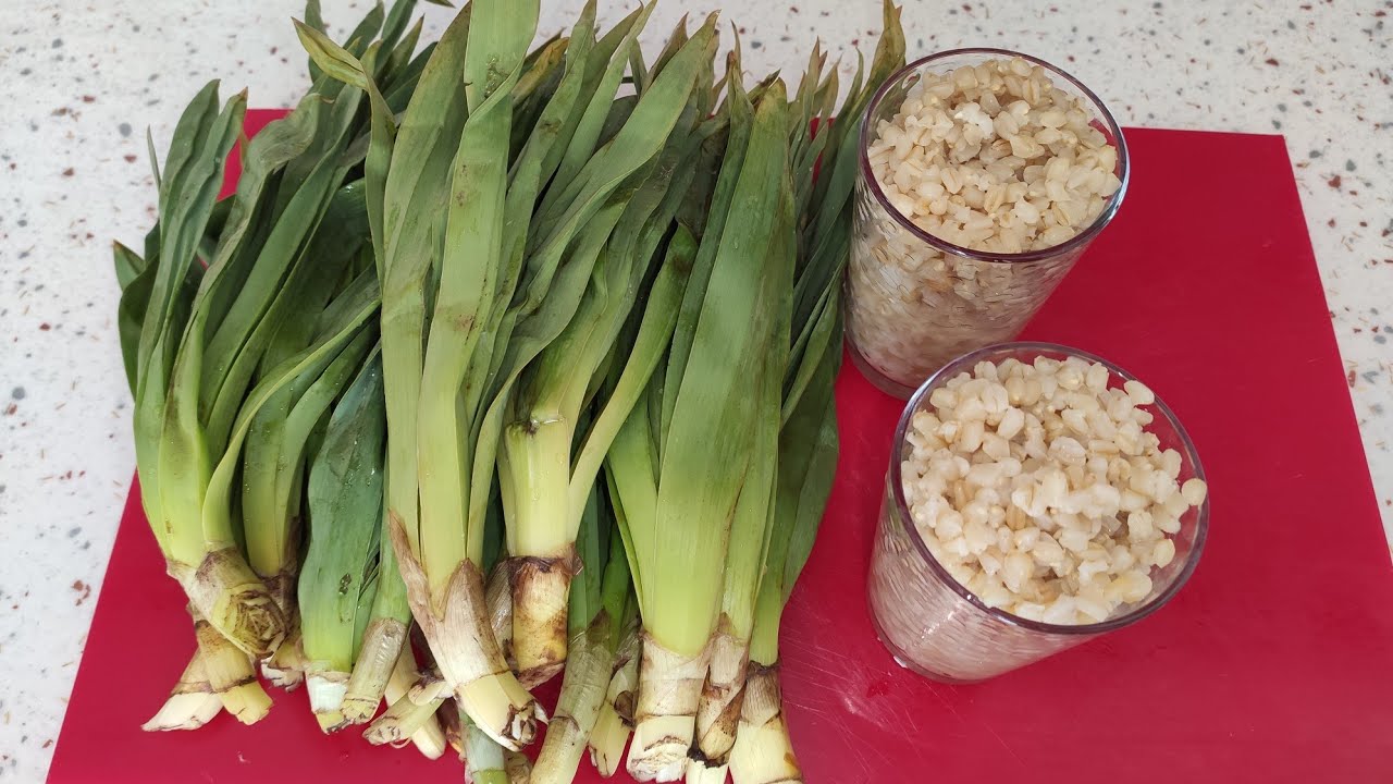 BU OTU NEREDE GÖRÜRSENİZ ALIN✅ Sütlü Çiriş Otu Çorbası Nasıl Yapılır