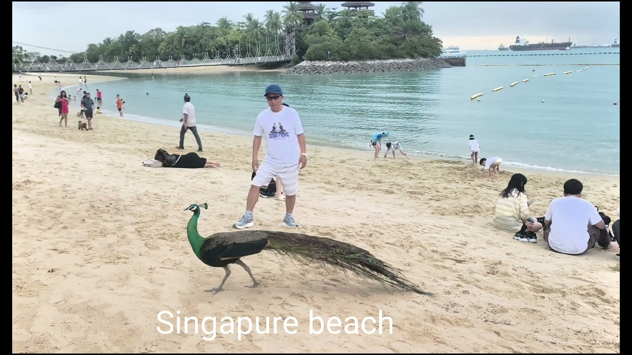 Singapore Beach ⛱️ #Feb 2026