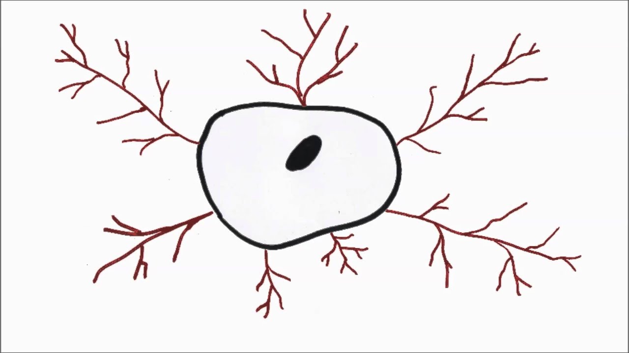 Oxford Cancer Clips  - The Hallmarks of Cancer   (Burford School  2014)