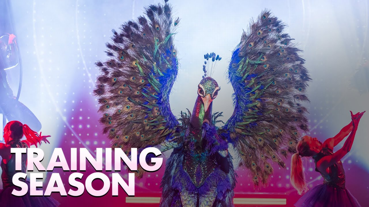 Pauw - &lsquo;Training Season&rsquo; | The Masked Singer | Seizoen 5 | VTM