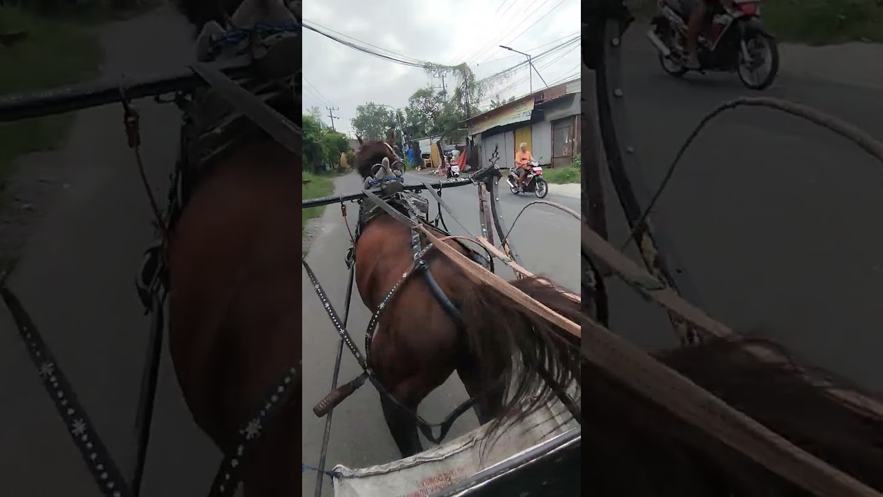 Dokar. Transportasi Unik Wisata Religi Sunan Giri