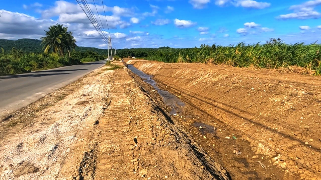 Компания WOW CHEC ведет масштабную систему каналов в Голден-Гроув, восточная часть Сент-Томаса.