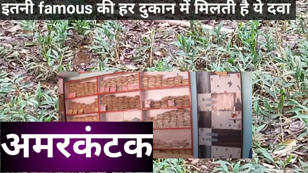 अमरकंटक की चमत्कारिक दवा place to visit in Amarkantak #viralvideo #vlog #narmada
