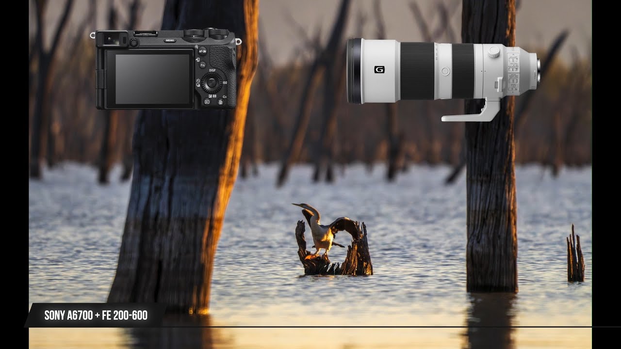 Sony A6700 + объектив FE 200-600 F6.3. Доступная цена.