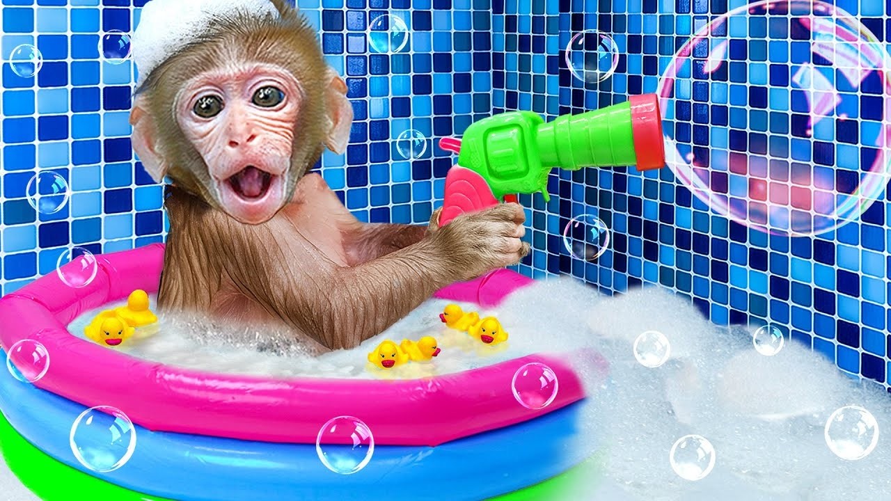 🔴LIVE - Baby monkey Bon Bon bath in the bathtub and playing with the puppy So cute