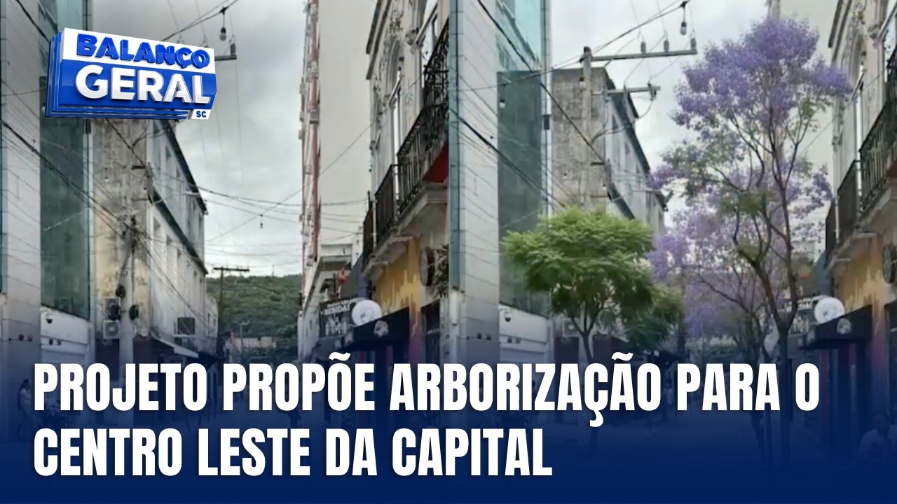 Projeto prevê plantio de árvores adultas no Centro Leste da capital