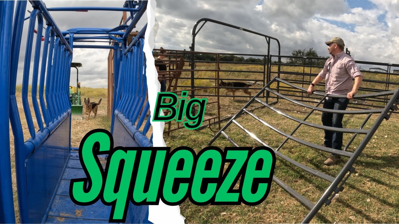 Squeeze a Cow: Priefert S04 and Cattle System