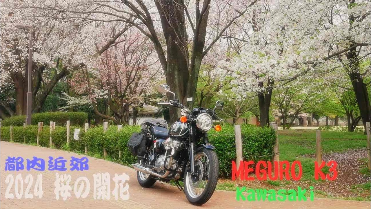 2024/4 🌸都内近郊の桜巡り【Kawasaki MEGURO K3】