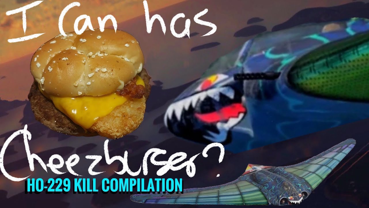 What if...  I were to Ho-229 and disguise it as my own cooking?🍔