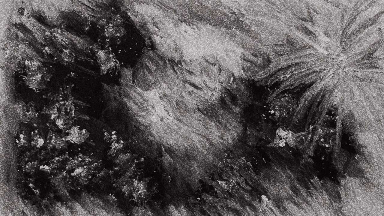 꿈에서 보았던 그 애가 사실은