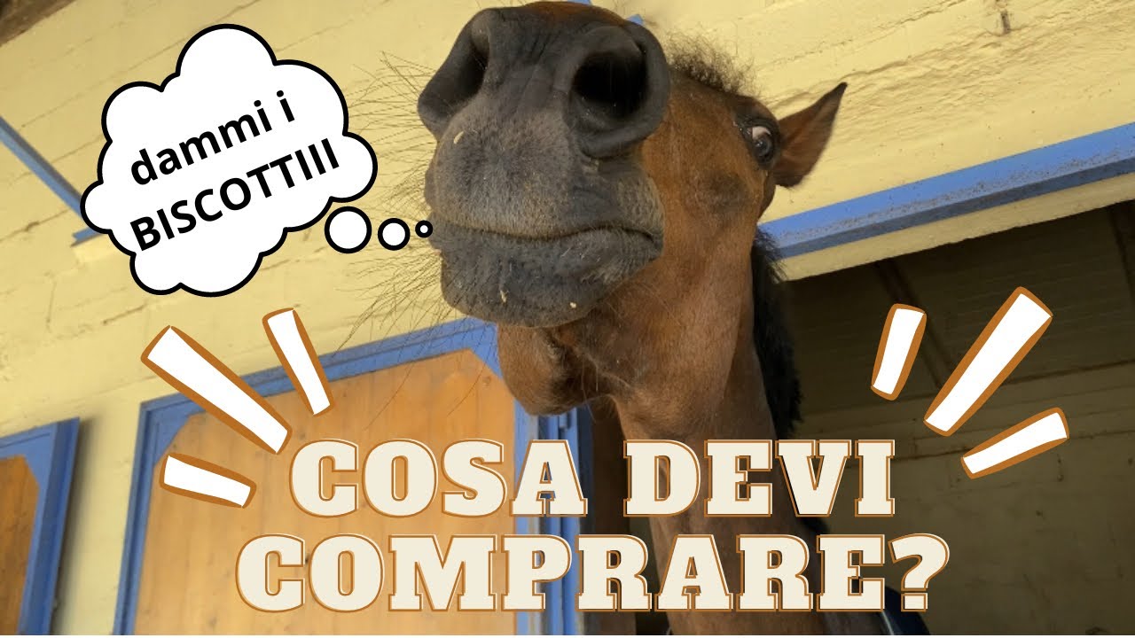 Prendi un CAVALLO?🐴ecco TUTTO quello che serve 🥰