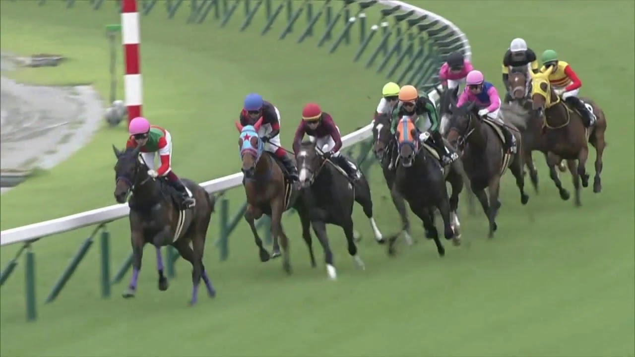 2020 Kinosaki Tokubetsu - Seurasaari (芬蘭仲夏) - K.Ikezoe