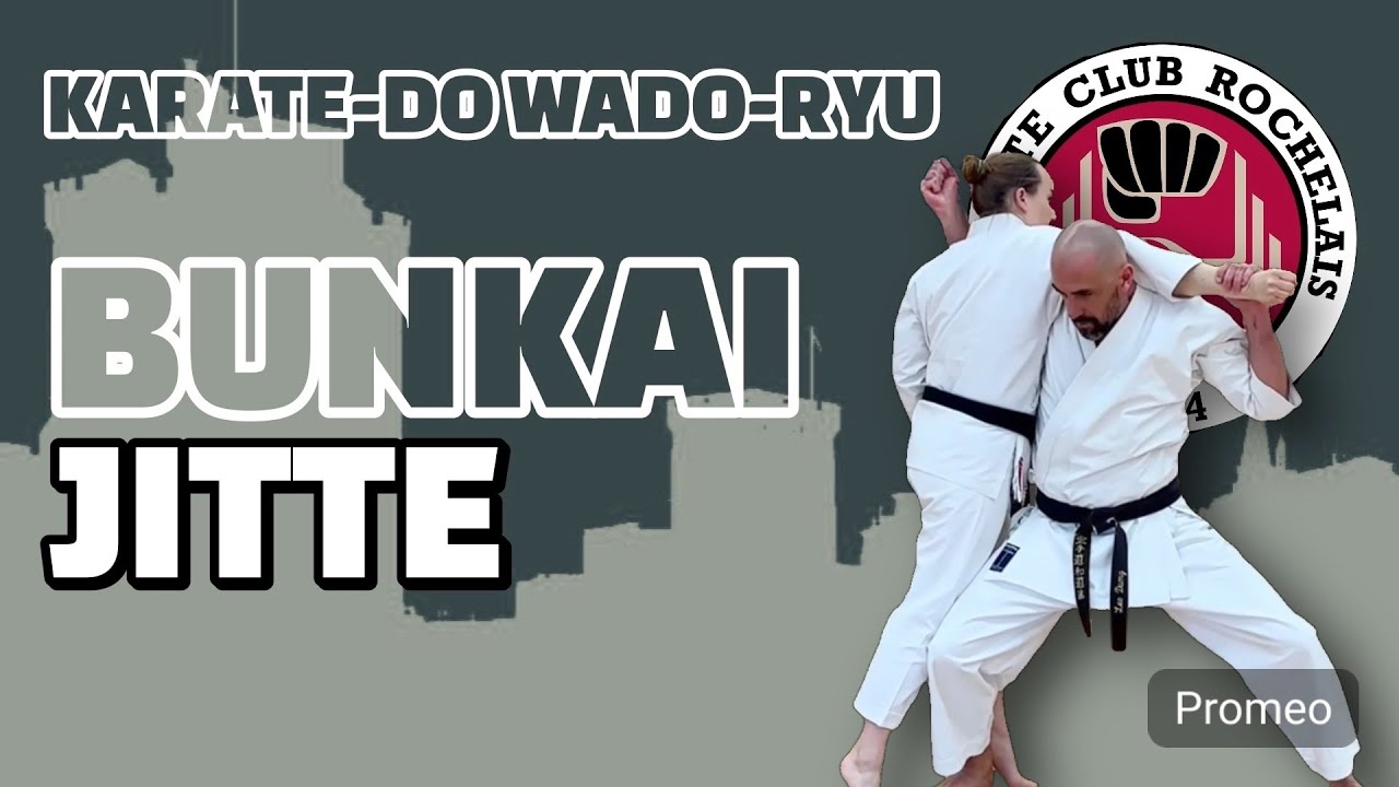 Bunkai Jitte - Karate Wado Ryu