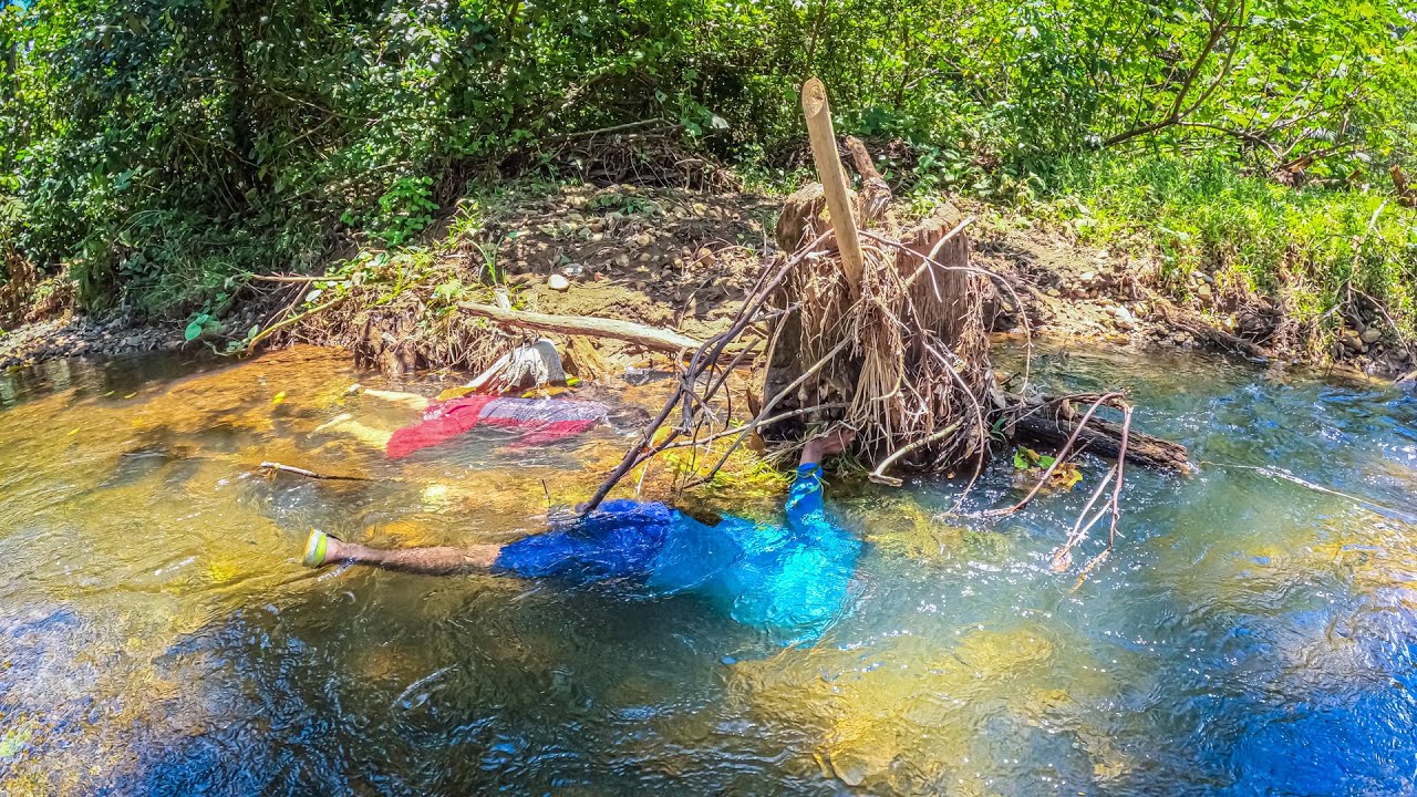 Hermoso arroyo pequeño, atrapando muchos peces con atarraya y con arpón sacamos esto