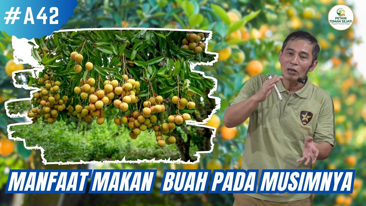 Makan Buah Pada Musimnya Bisa Cegah Penyakit