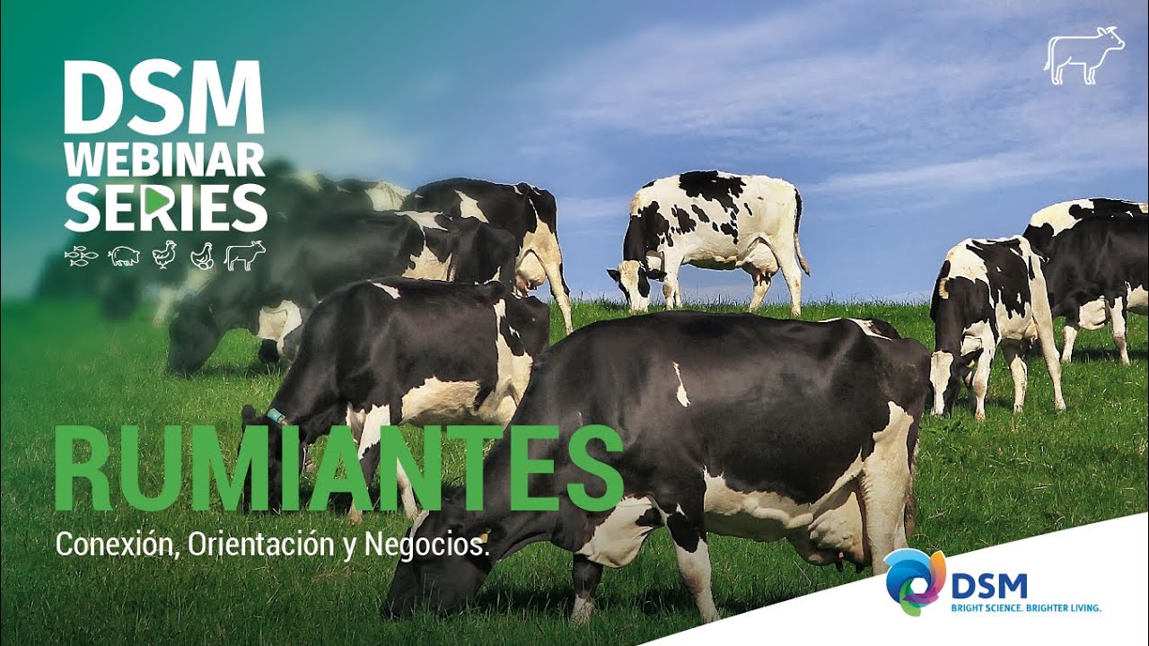Minerales y Vitaminas: la importancia en el metabolismo oxidativo de los rumiantes