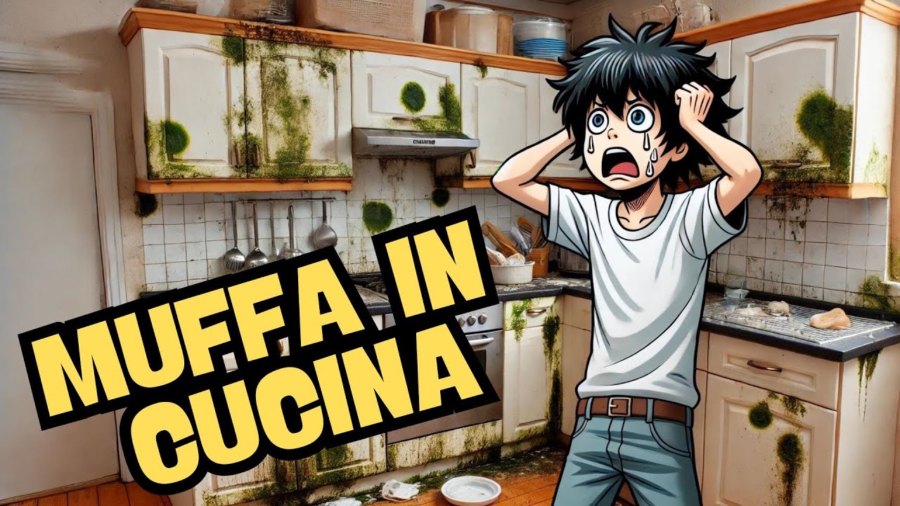 Come risolvere problemi di muffa nei mobili della cucina