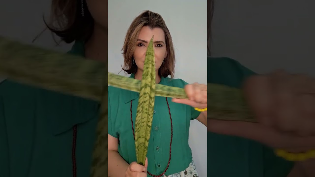 CORTA E CONTRA DEMANDA | Benzimento poderoso de Ogum para sua vida!
