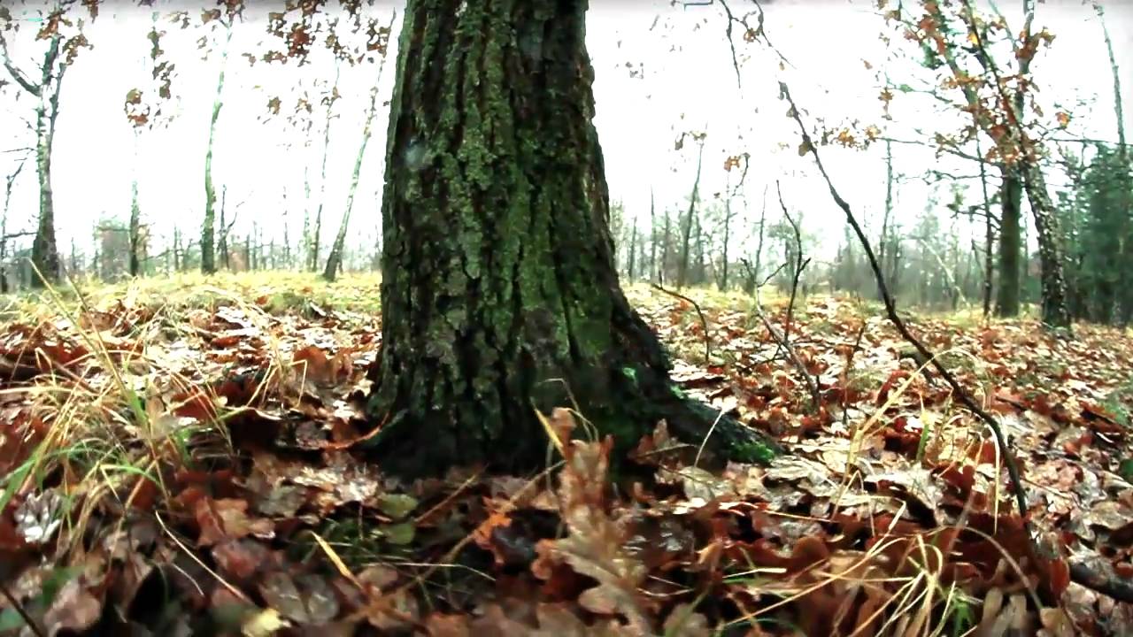 JAGŁA & PYTA - Już ich nie znam + Vixen & Raca (OFFICIAL VIDEO)