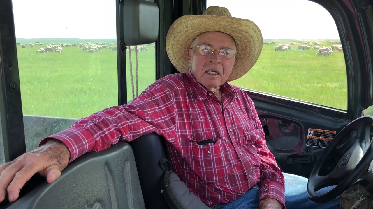 &ldquo;IF YOU LET COYOTES GET THICK, THEY KILL SHEEP&rdquo;