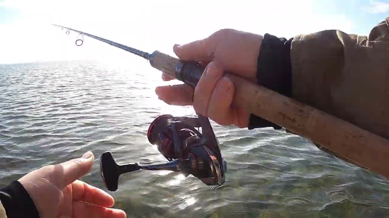 Hav&oslash;rrede p&aring; kysten 2022