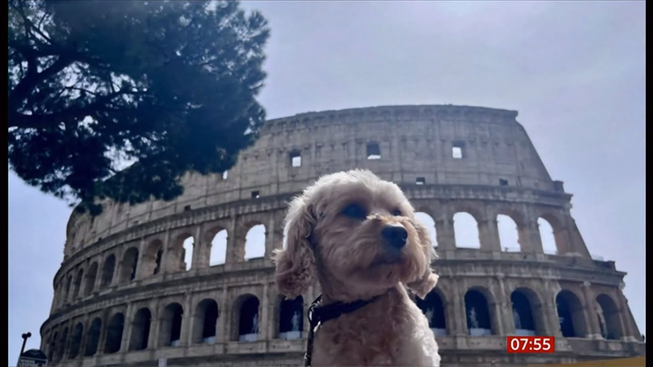 Mark Radcliffe & Arlo the dog on their Rome trip (UK/Italy) 15/Aug/2025
