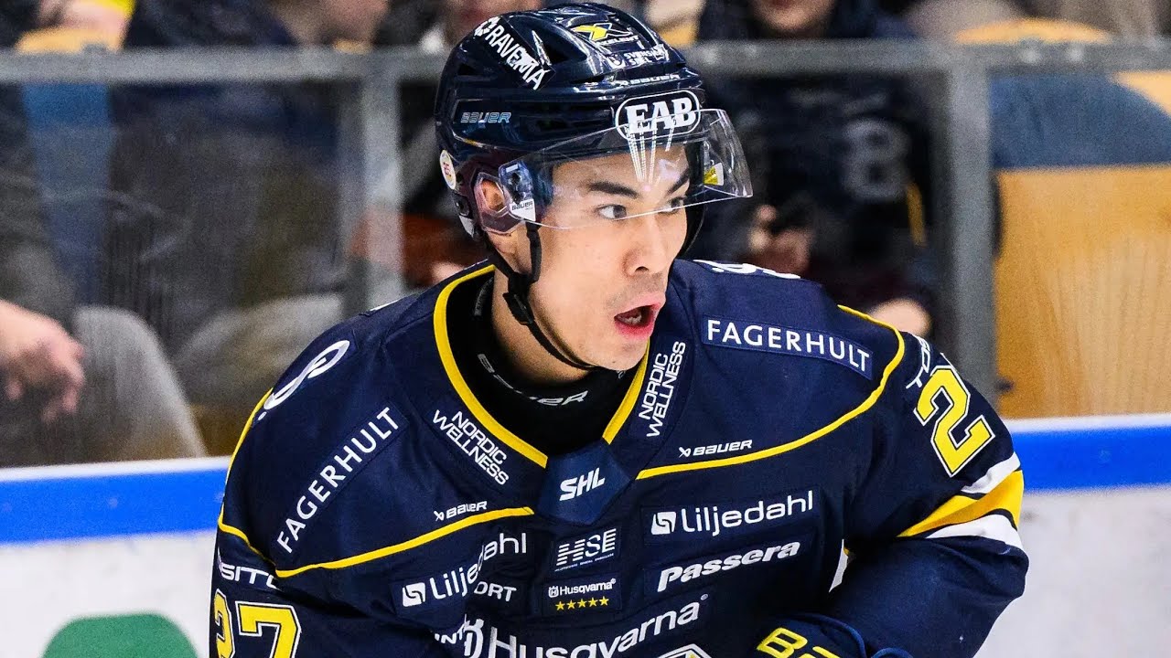 Jonathan Ang HV71 - Alla Mål Säsongen 2024/25