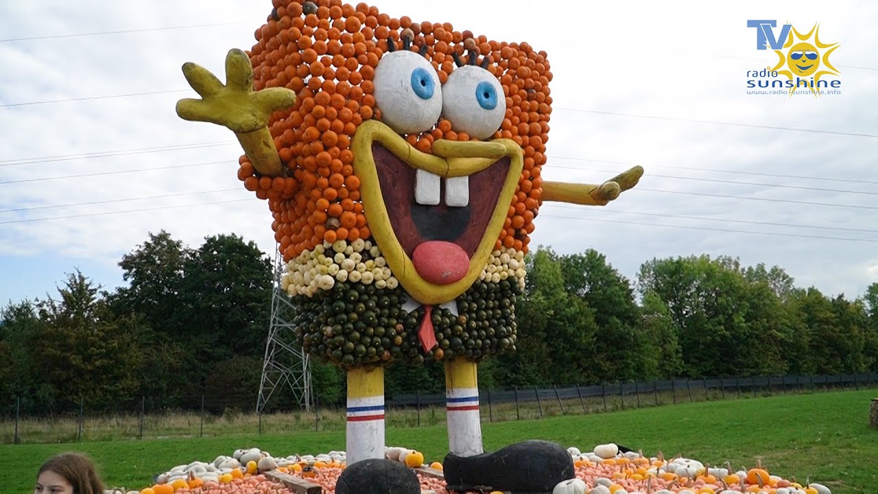 Größte Kürbishow NRWs im Krewelshof Mechernich