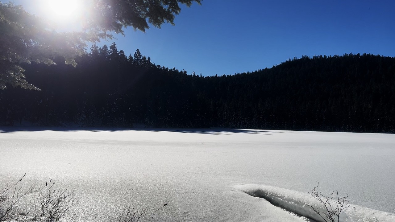 (4K UHD) SILENT SCENERY @ Twin Lakes Trail in Winter Snow! | Mount Hood National Forest | Oregon