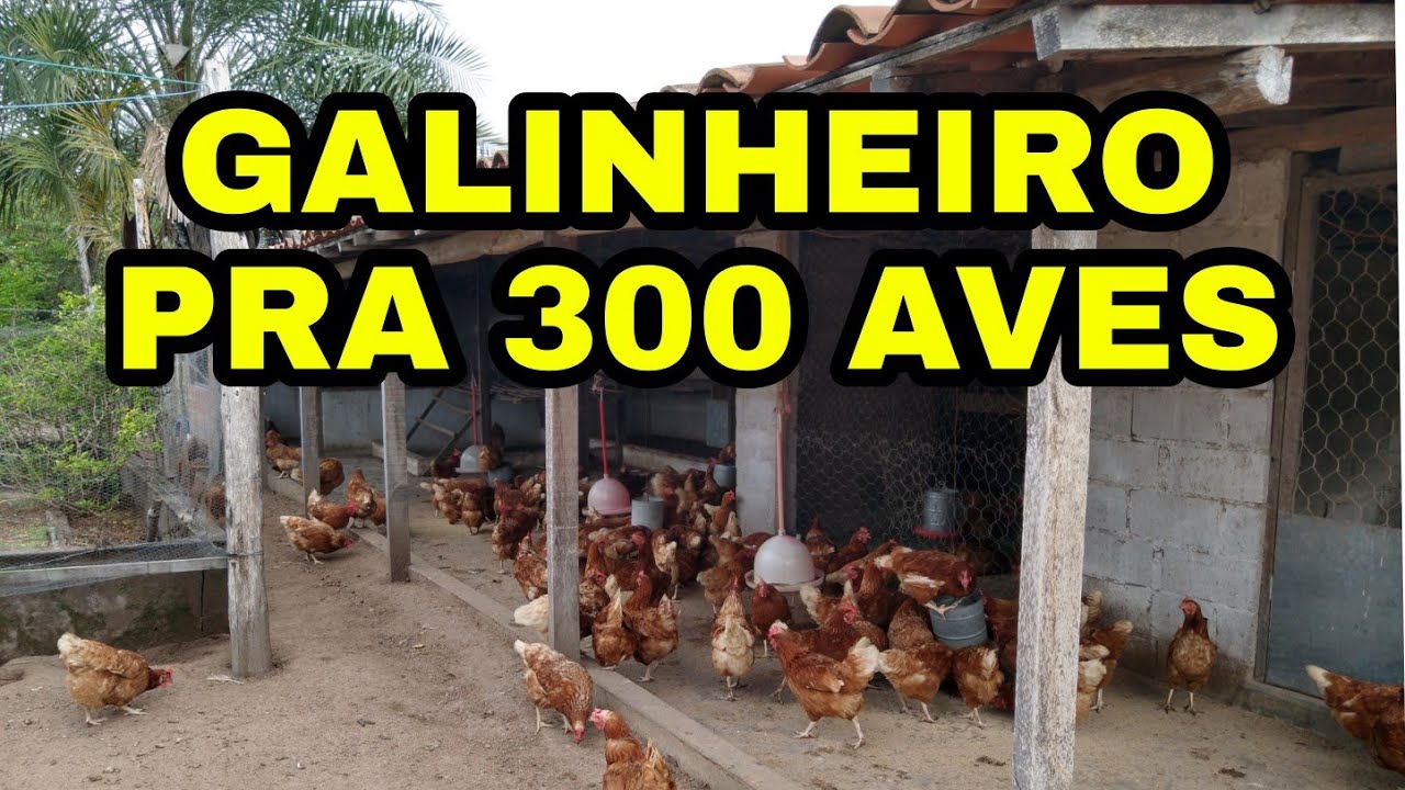 GALINHEIRO PRA 300 AVES | MEDIDAS CÔMODO |  COMO FAZER | PATHY VIDA NA ROÇA: