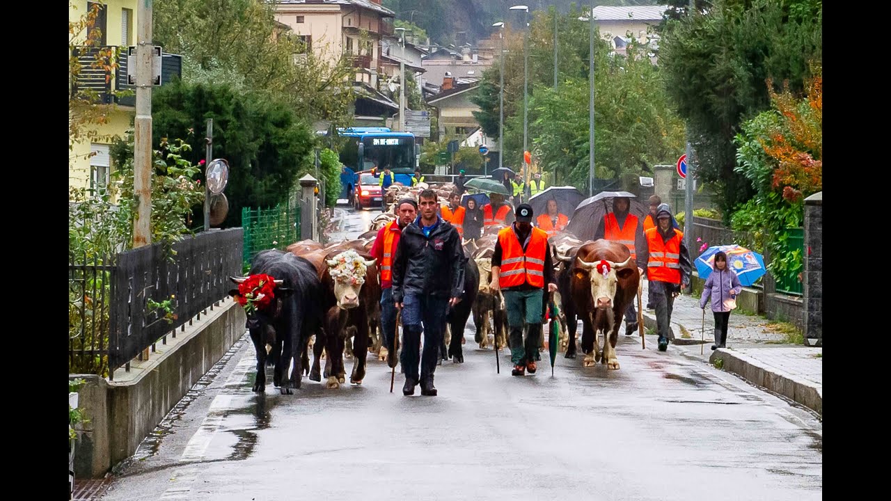 16 OTTOBRE 2024 PONT SAINT MARTIN (VALLE D'AOSTA) DESARPA MANDRIA FAMIGLIA ROBERTO PERETTO