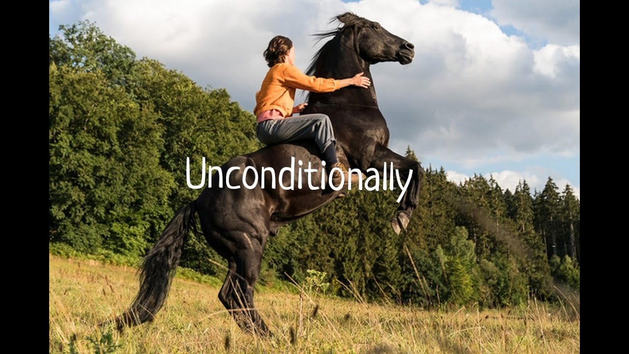 Ostwind/Восточный ветер ~Unconditionally~