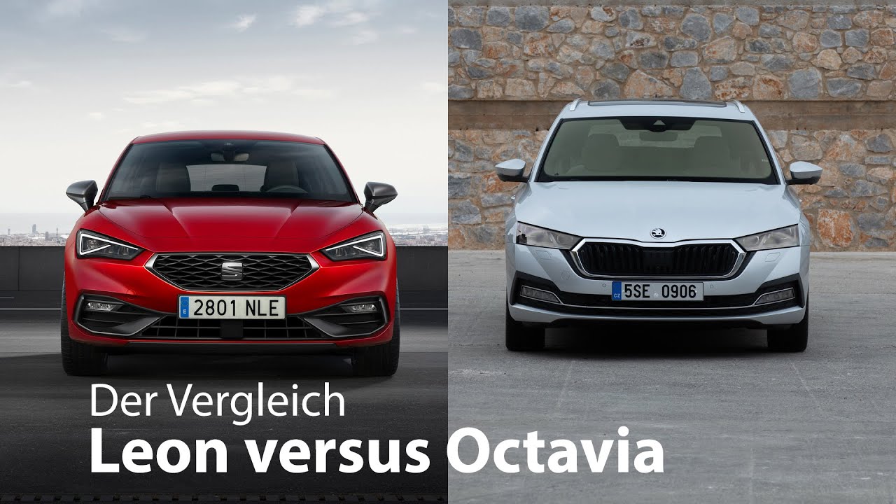 Der Vergleich: Seat Leon vs. Skoda Octavia...und die anderen zwei [4K] - Autophorie