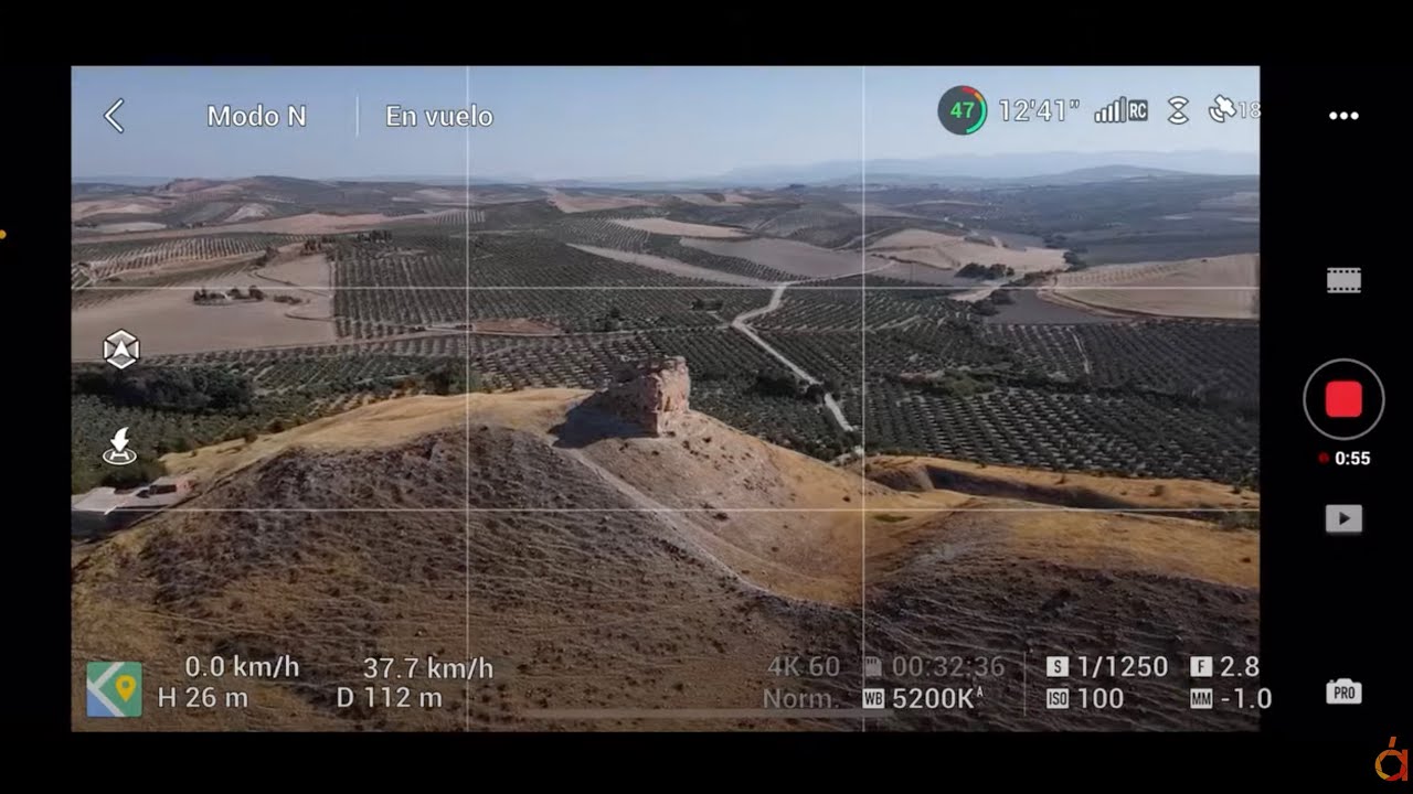 🚀 ¡A vista de pájaro! Volando el drone un ratito en directo
