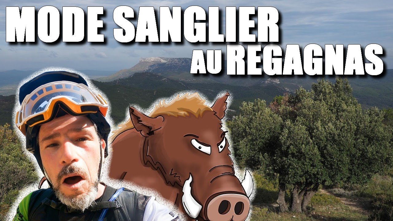 [VTT ALL MOUNTAIN] Un Regagnas entre Sangliers...