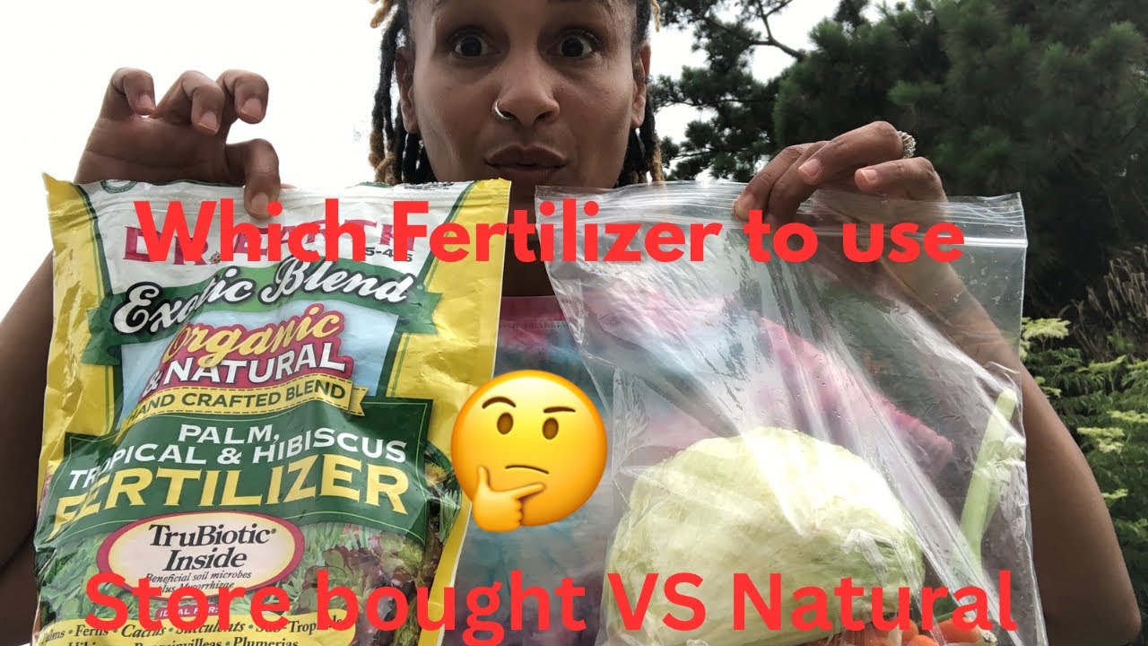 What Fertilizer to use? Natural VS Store bought  #beginnersgardening  ￼#fertilizer #gardening